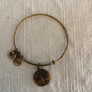 Alex and Ani Tree of Life Bracelet